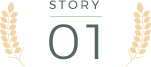 STORY 01