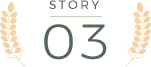 STORY 03